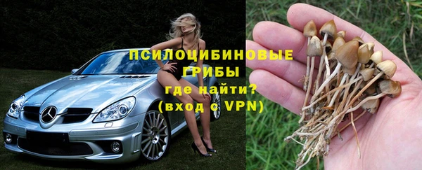 первитин Новозыбков